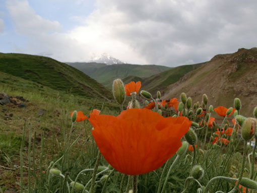 سبلان-13920429-5