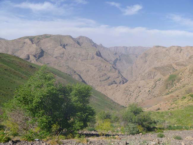 دره نیکاه-13930313-25