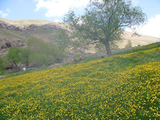 دره نیکاه-13930313-29