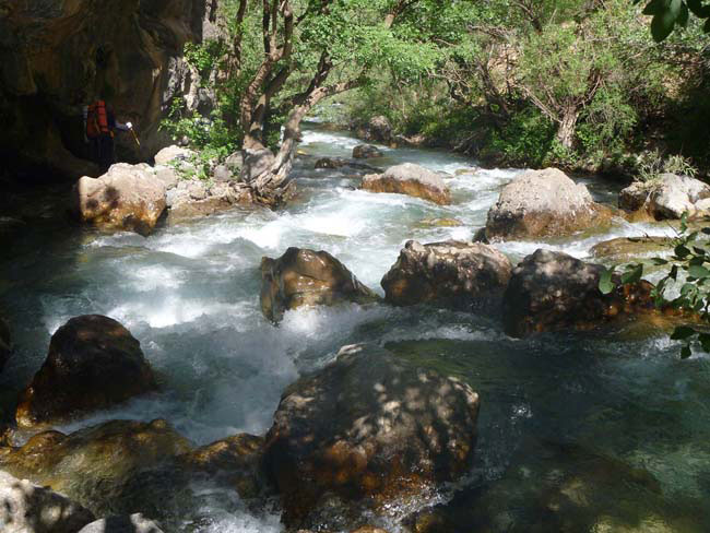 دره نیکاه-13930313-10