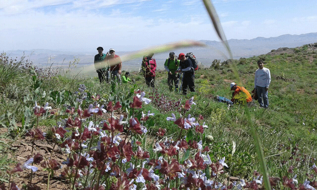 قله کوه سفید - 13950302 - 3