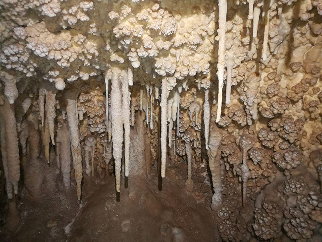 غار امجک - 13970221 -  3