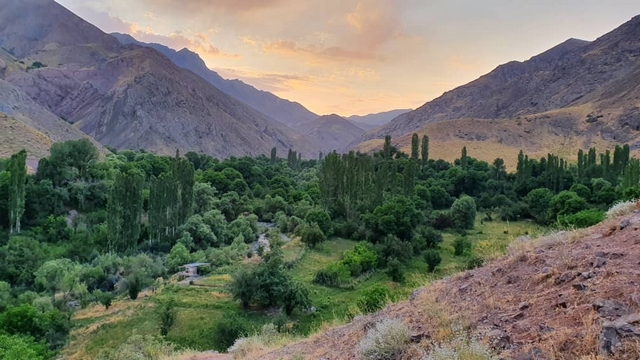 شاه البرز-990419- 1