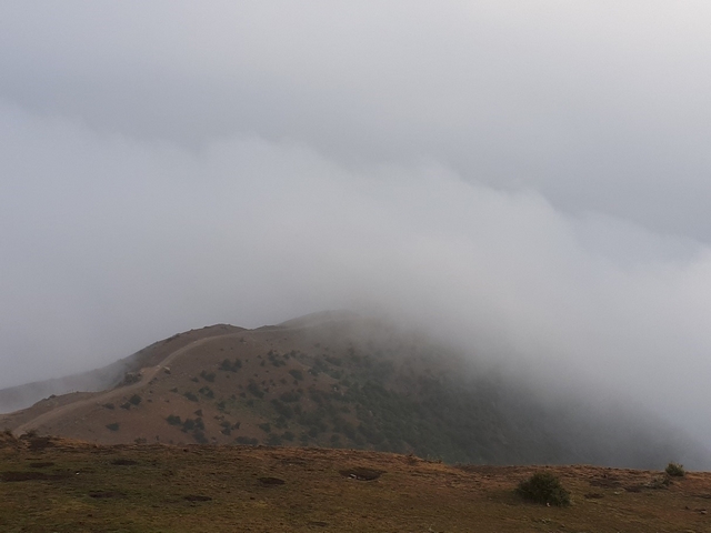 فیلبند-990411- 5