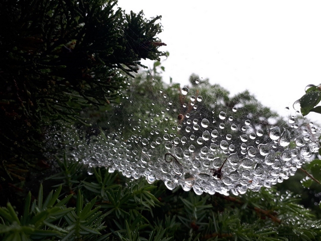 فیلبند-990411- 7