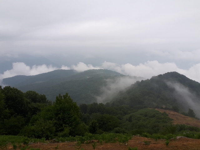 فیلبند-990411- 9