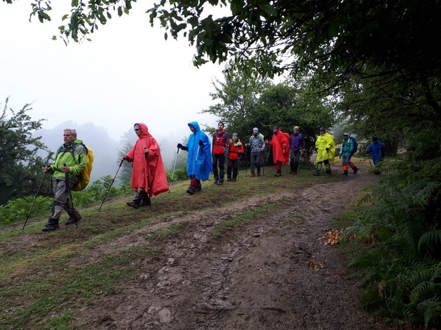 فیلبند-990411- 10