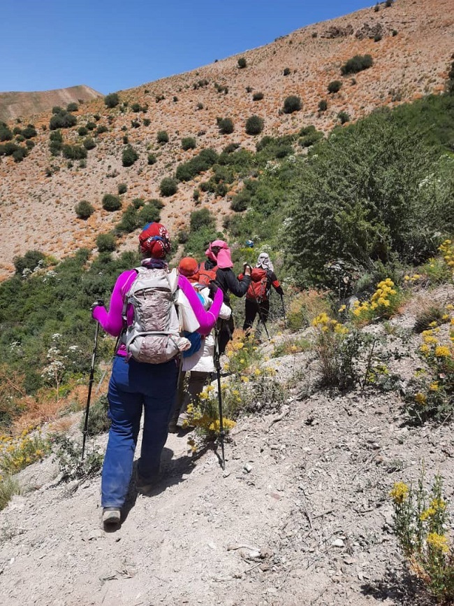 محراب-14000328-3