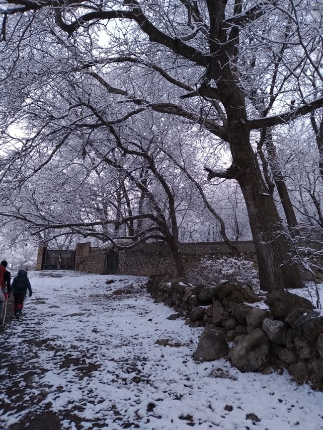 قله اودل-14000912- 1