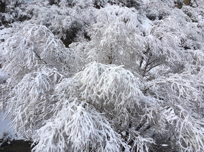 قله اودل-14000912- 5