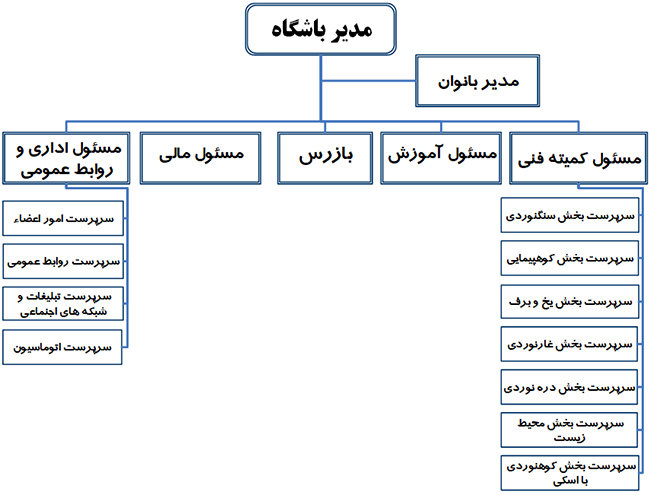 ساختار سازمانی جدید