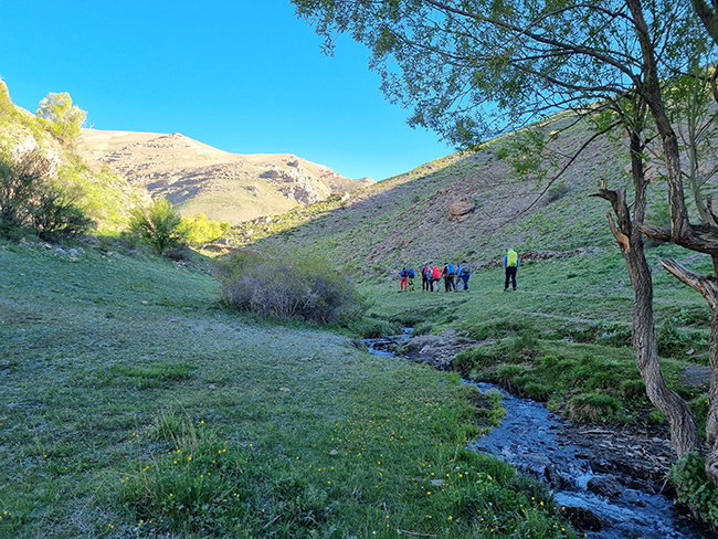 قله نمازی - 14010306 -  1