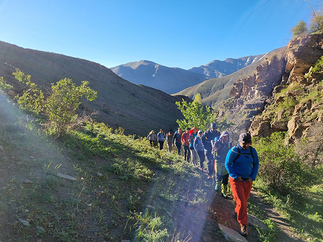 قله نمازی - 14010306 -  2