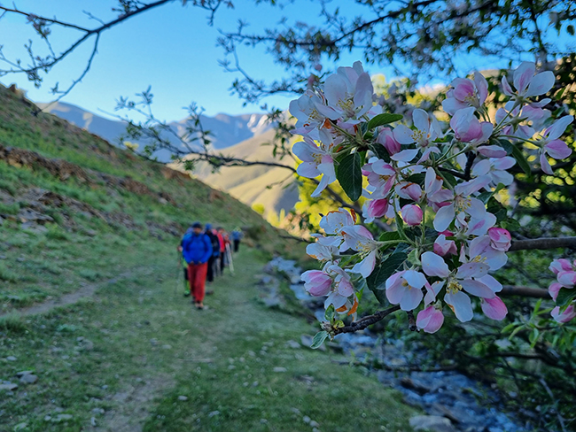 قله نمازی - 14010306 -  3