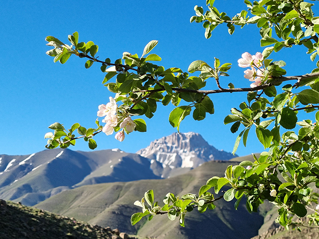 قله نمازی - 14010306 -  4