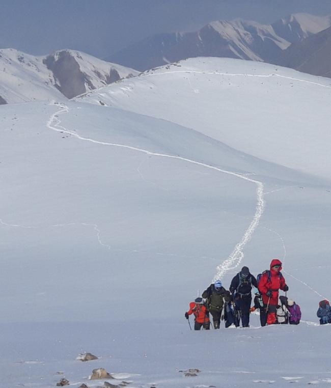 سی چال - 14011107 5