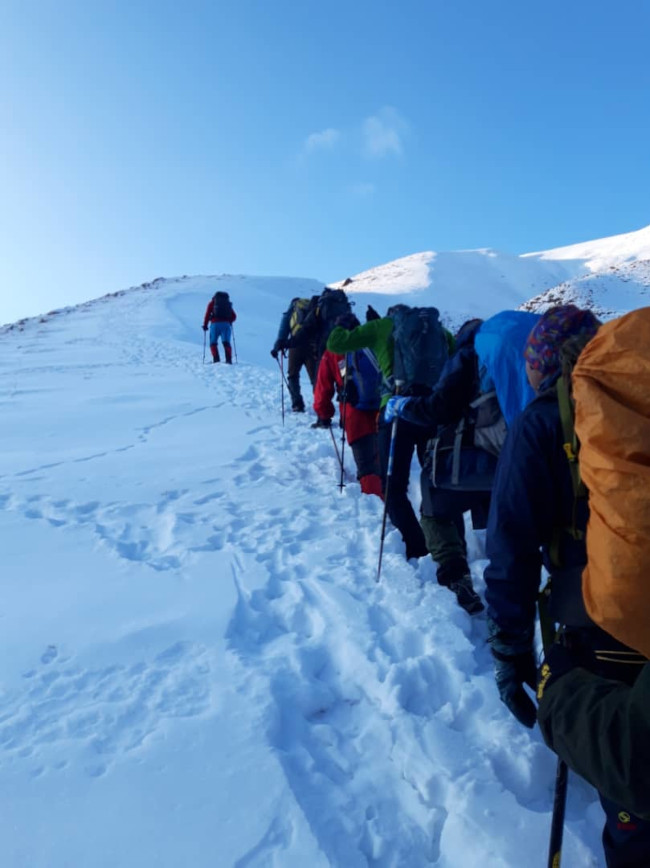 سی چال - 14011107 8