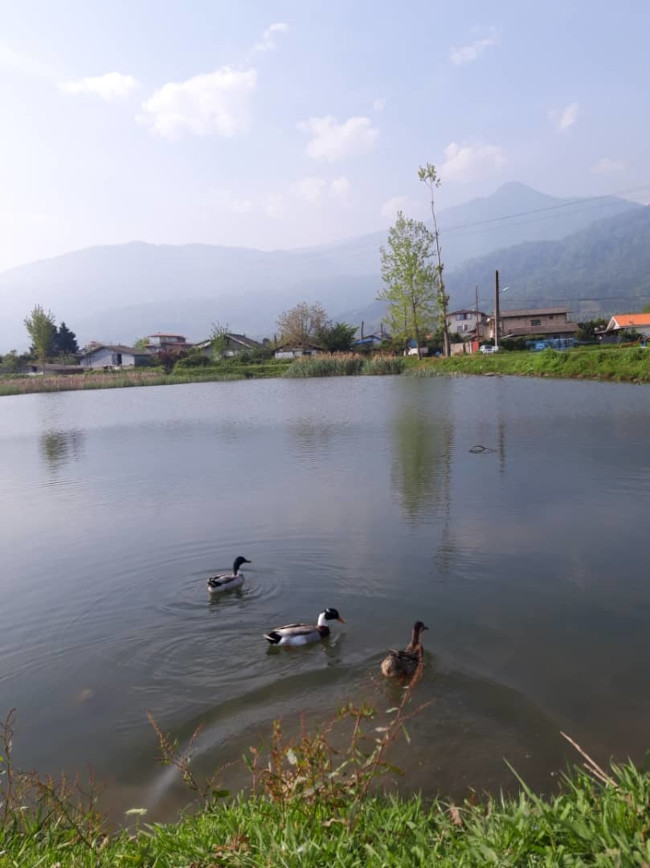 شیطان کوه لاهیجان به عطا کوه لنگرود 14020131 2