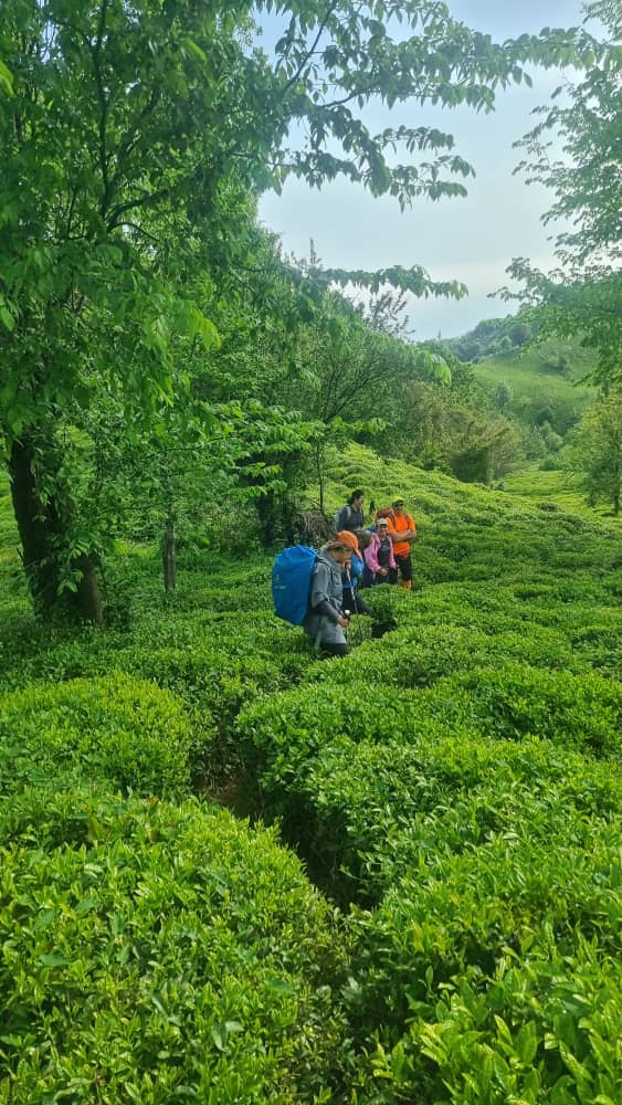 شیطان کوه لاهیجان به عطا کوه لنگرود 14020131 8