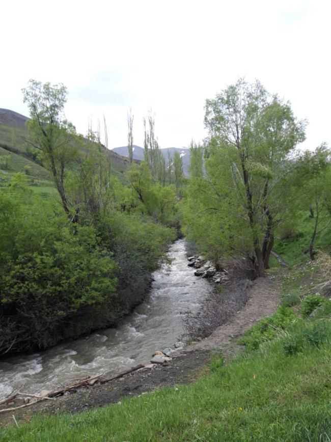 آزاد کوه 14020304 8