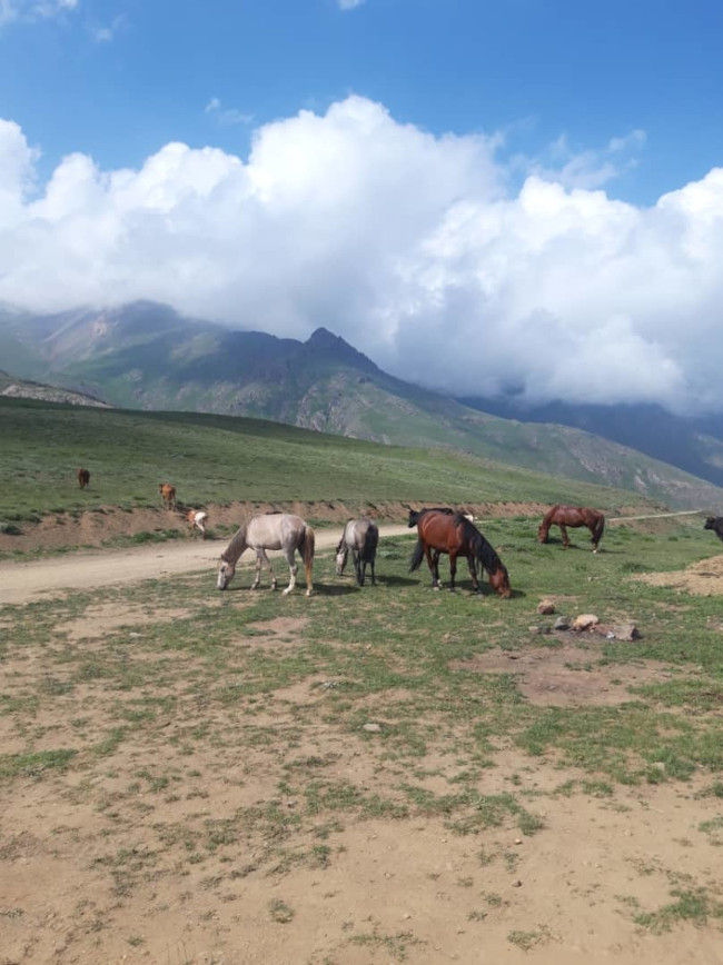 قله ی مسمور 14020313 5