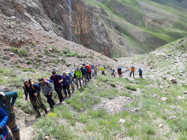 جانستون14020326 1