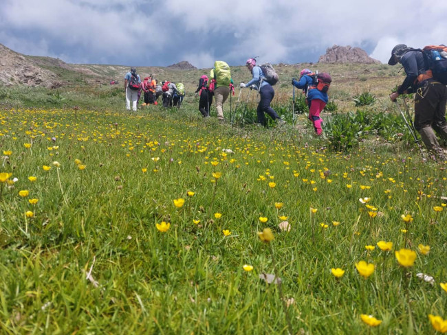 جانستون14020326 4