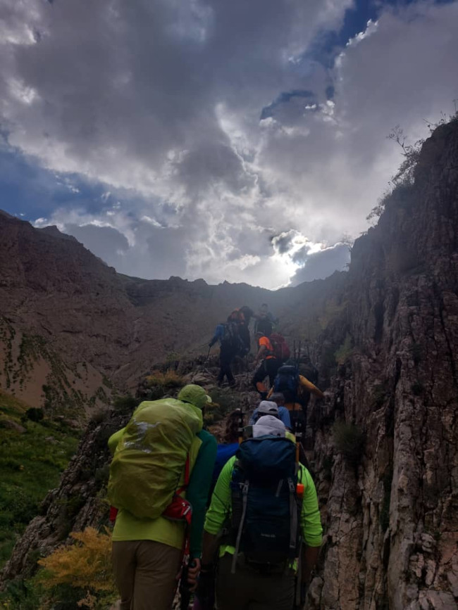 جانستون14020326 5