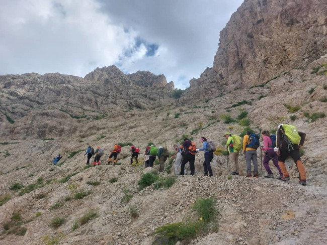 جانستون14020326 6