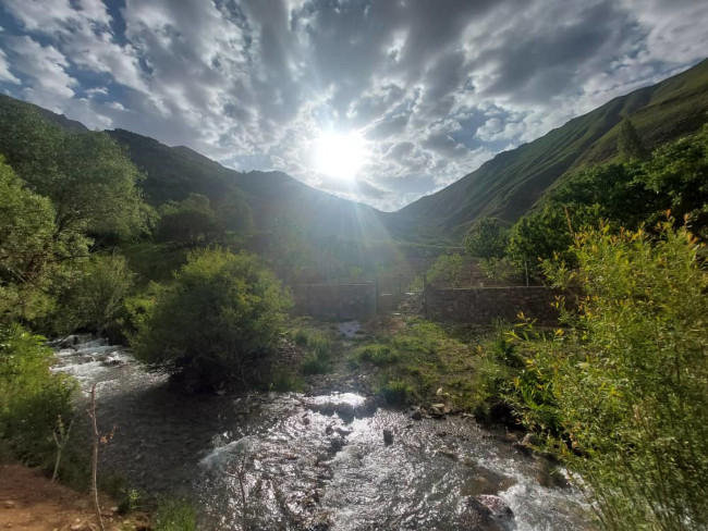 جانستون14020326 7