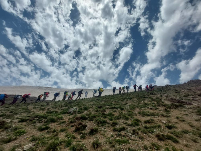 جانستون14020326 8