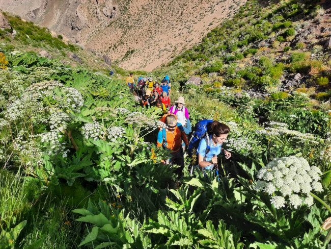 کمان کوه - 14020423 4