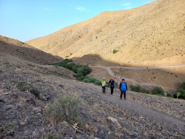 شاه نشین - 14020415 2