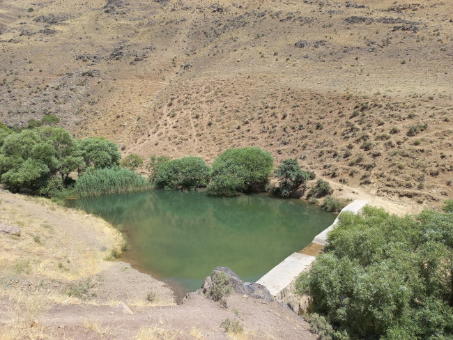 شاه نشین - 14020415 7