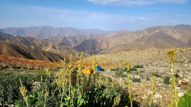 سرکچال ها - 14020513 9