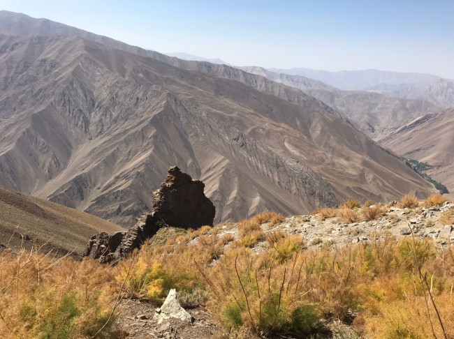 سرخاب - 14020603 6