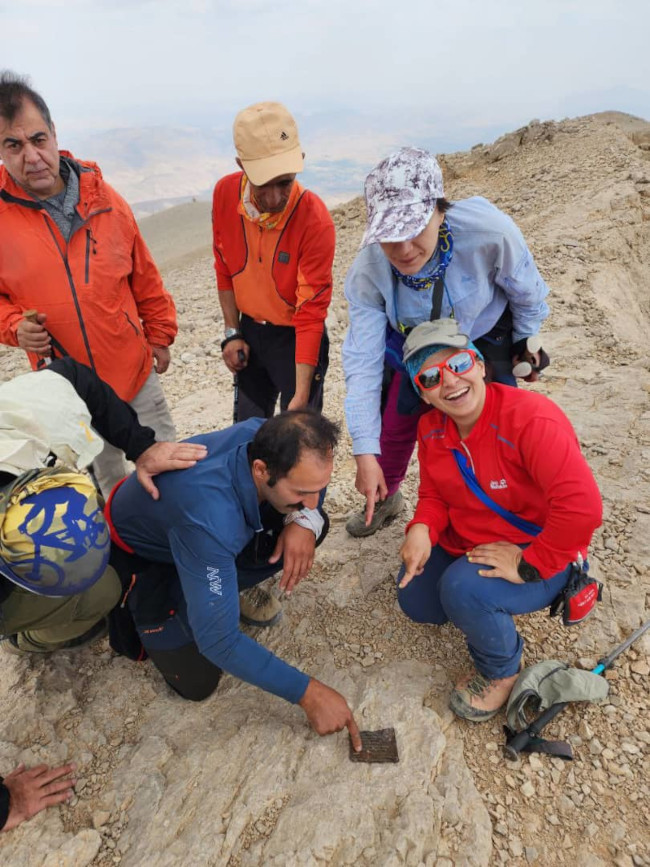 خط الراس مرکزی دنا 14020615 6