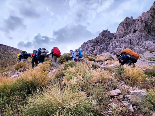 خط الراس مرکزی دنا 14020615 8