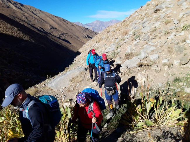 سکه نو- 14020714 1