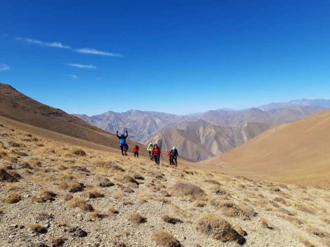 سکه نو- 14020714 4