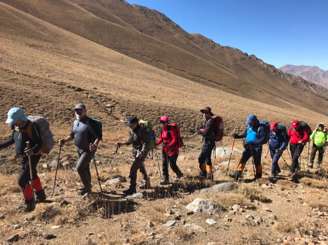 سکه نو- 14020714 5