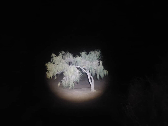 کویر_ابوزیدآباد_14020721 4