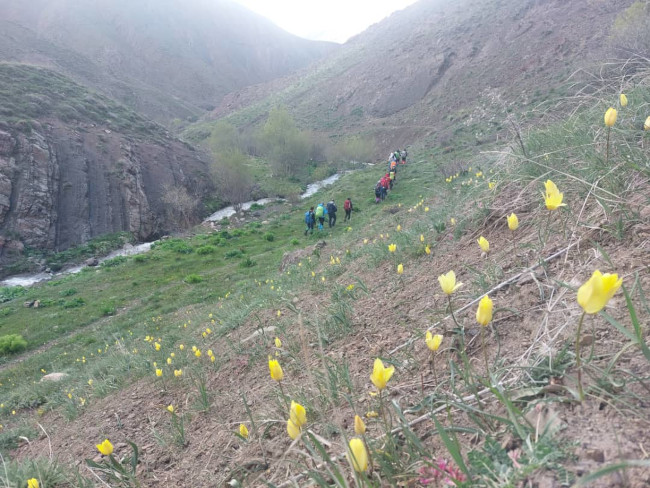 قله دونا 14030221 6