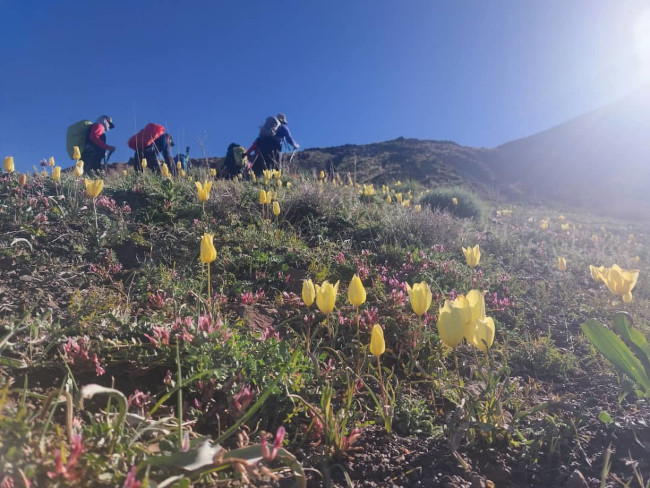 قله دونا 14030221 7