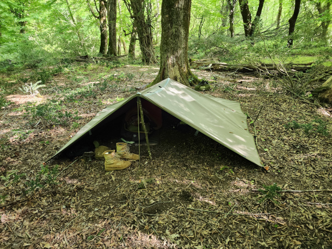 حلیمه جان14030206 1