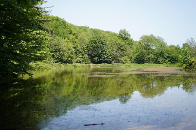 حلیمه جان14030206 2