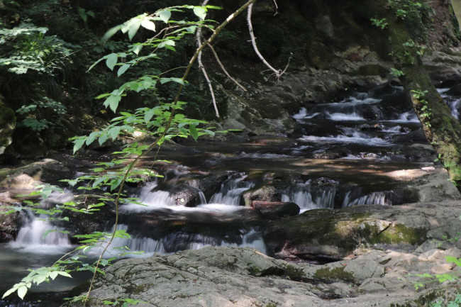 کلشتر 14030325 3