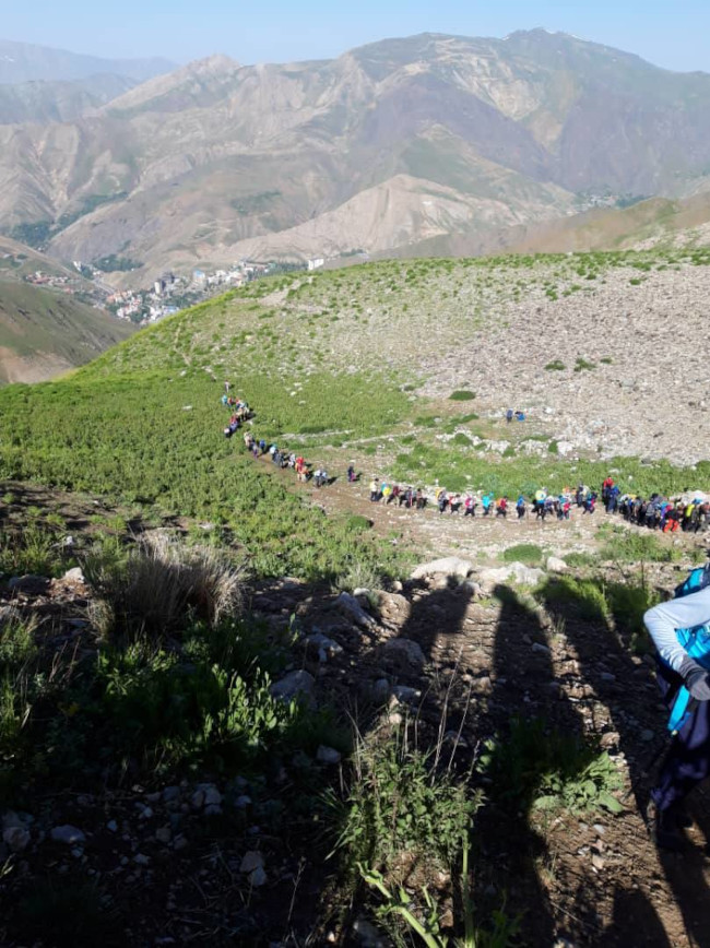 سرکچال‌ها 14030408 4