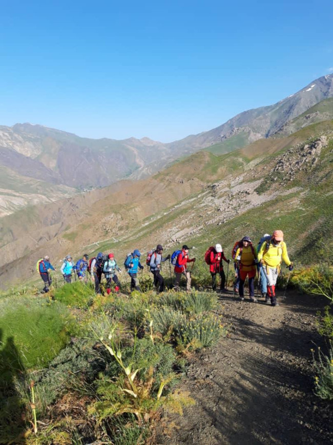 سرکچال‌ها 14030408 6