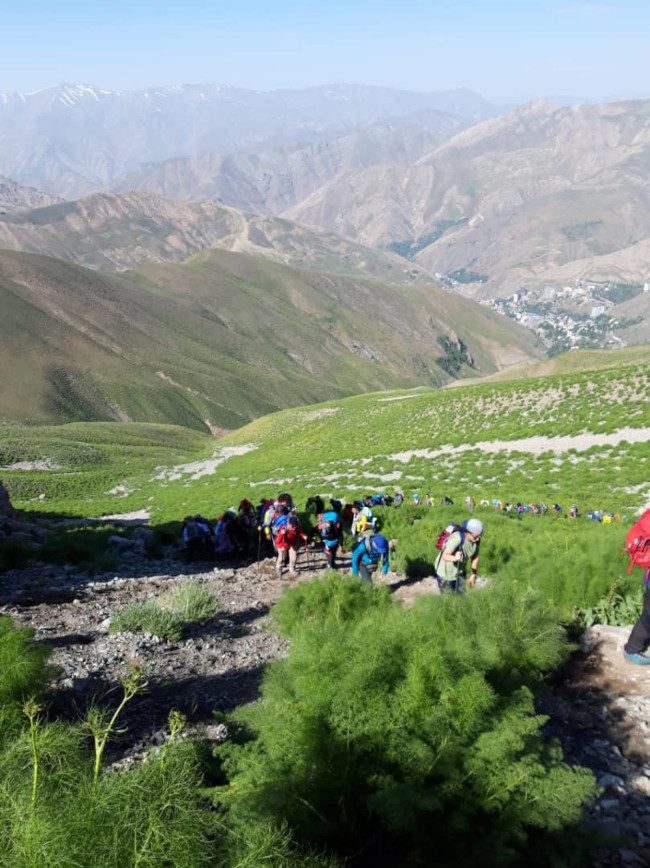 سرکچال‌ها 14030408 9